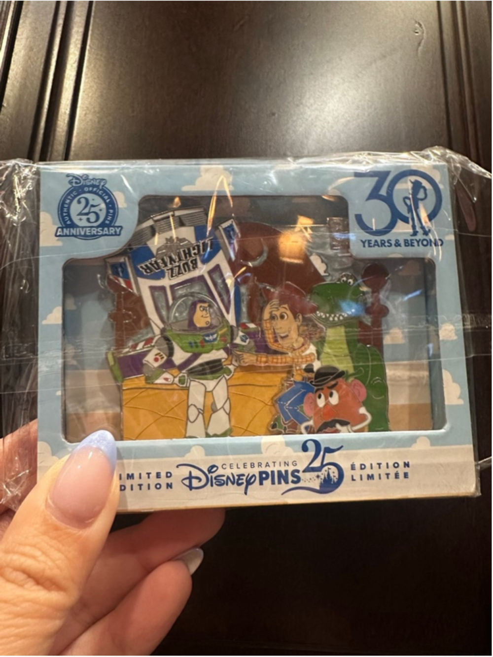Toy Story 30th Anniversary Mini Jumbo Pin LE 1500 Disney Trading Pin
